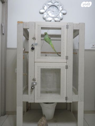 תמונת מודעה - חיות מחמד