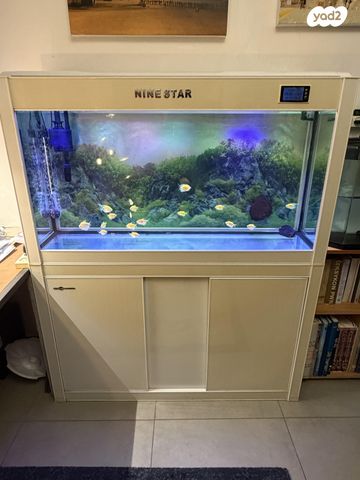 תמונת מודעה - חיות מחמד