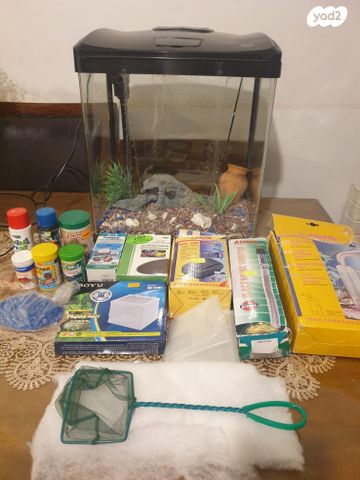 תמונת מודעה - חיות מחמד