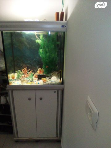 תמונת מודעה - חיות מחמד