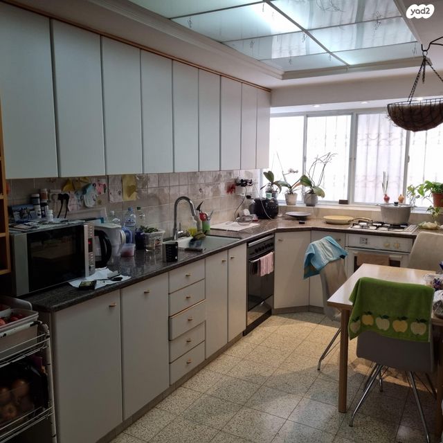 משה ונטורה 6