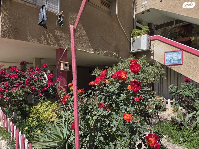 אלעזר בן יאיר 5