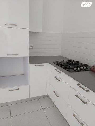 אריאל שרון 4