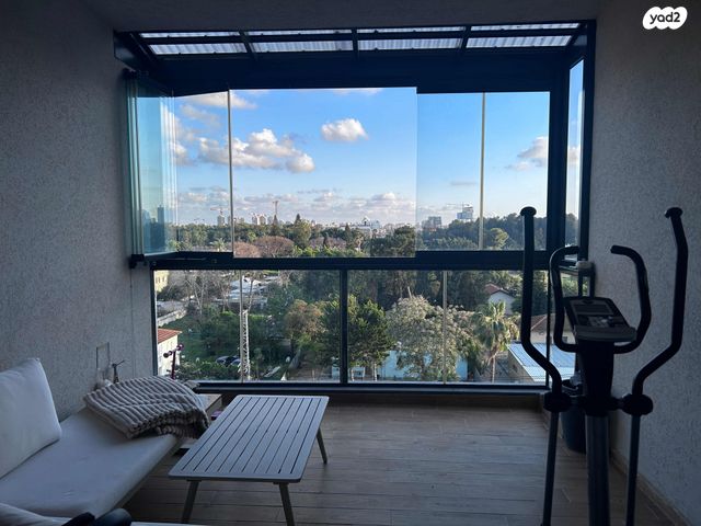 דוד וולפסון 17