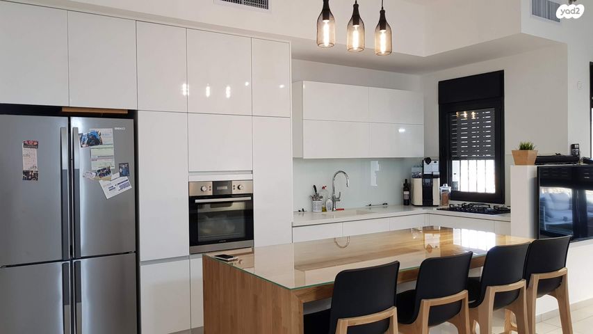 שייקה אופיר 12