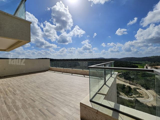 גג/ פנטהאוז למכירה בבית שמש — 3