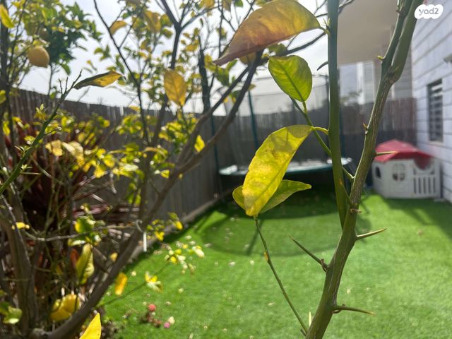 שדרות הרצל 1