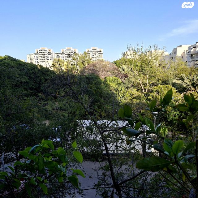 שלמה בן יוסף 8