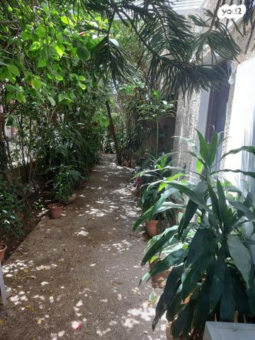 הרב הרצוג 26