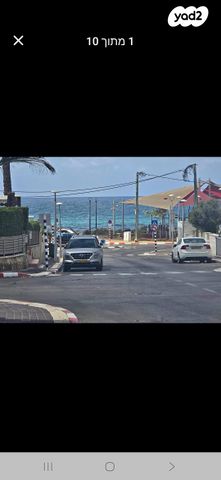 ז'בוטינסקי 4