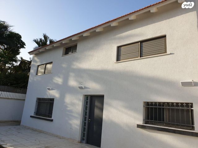 אירוס הנגב 50