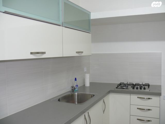 אריה שנקר 54