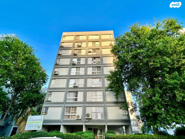 לוי אשכול 17