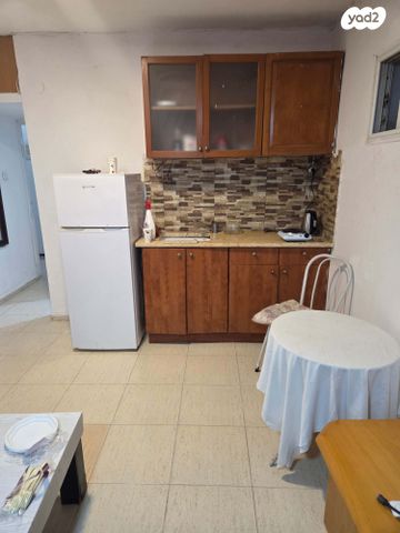 ז'בוטינסקי 20