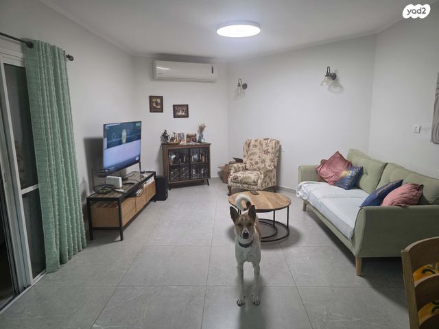 פרופסור אברהם אמיר 47