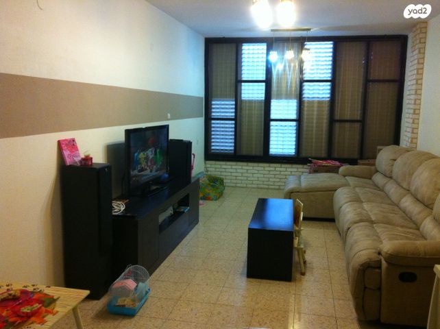 זכריה הרופא 19