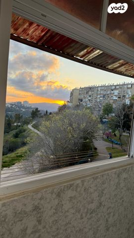 עמנואל אולסבנגר 114