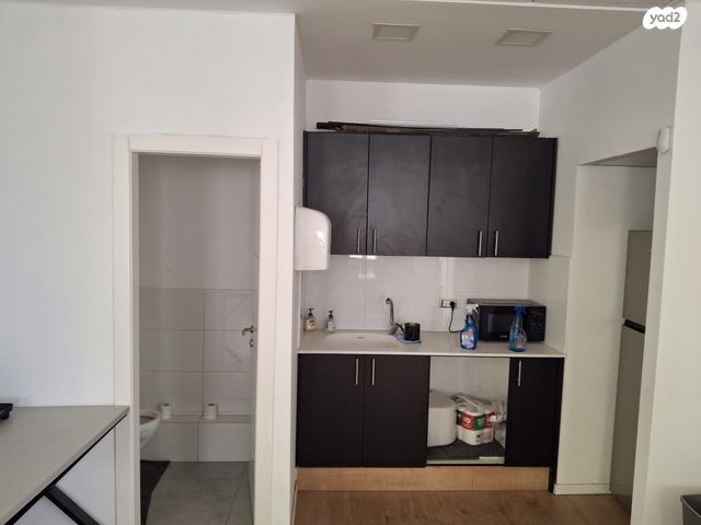 כנפי נשרים 15