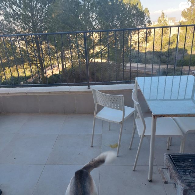 אליהו מרידור 