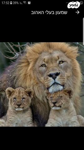 קרית חתני פרס נובל