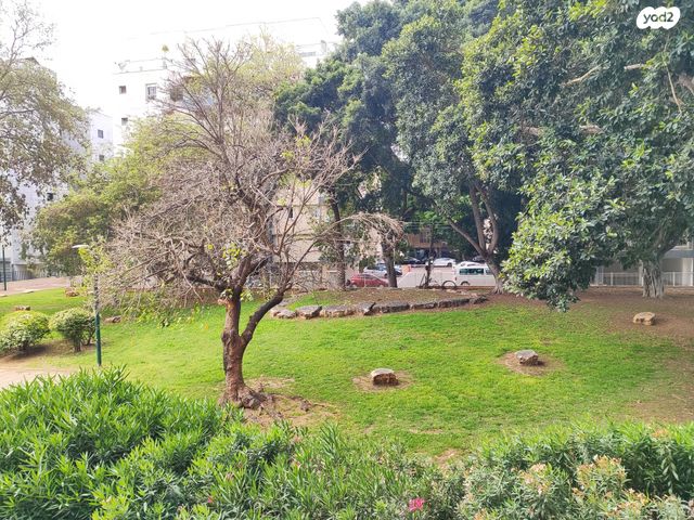 דירה, מרכז, כפר סבא