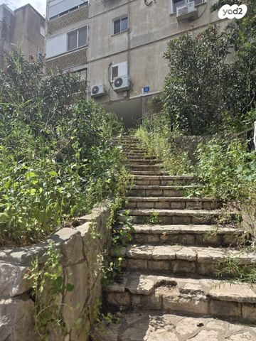 דוד רזיאל 32