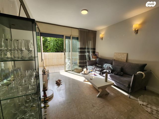 דוד אבידן 13