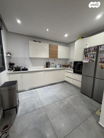 יצחק שמיר 29