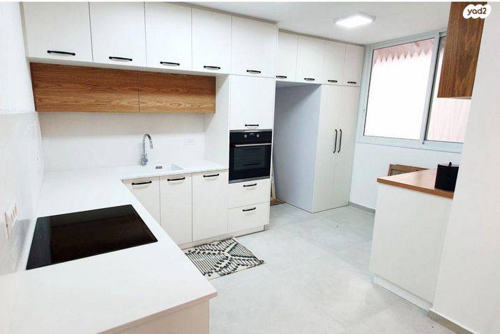 אריה פסטרנק 