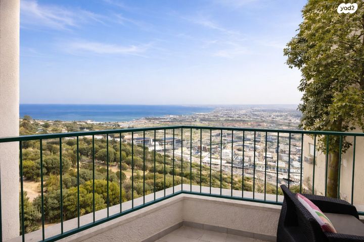 יעקב סלומון 8