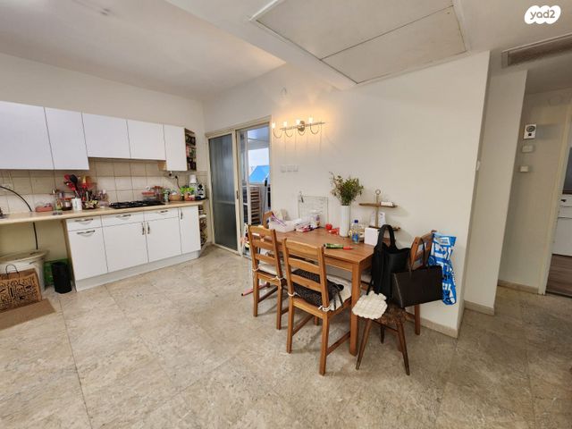 דוד אבידן 13