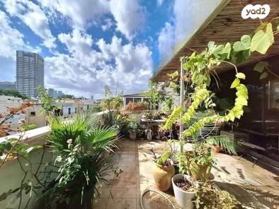 גג/ פנטהאוז, הצפון הישן - צפון, תל אביב יפו