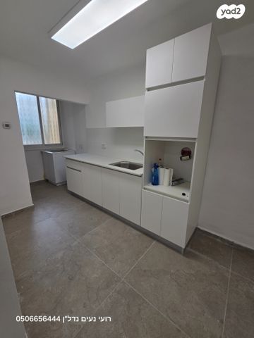 אריה מוצקין 