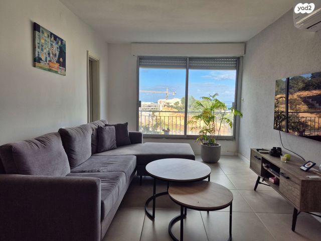 זלמן שניאור 