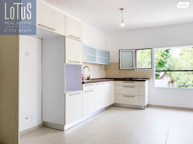 מרבד הקסמים 