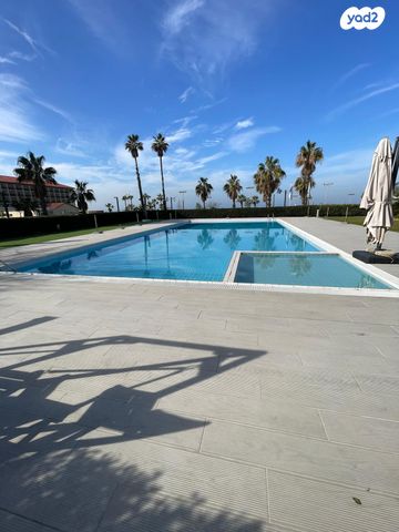 מדינת היהודים 