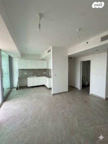 ליאונרדו דה וינצ'י 