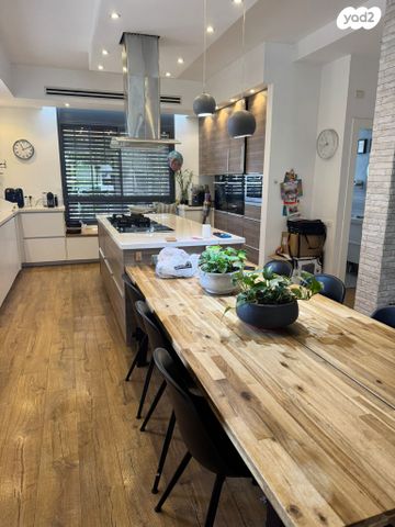 אריות הגולן 