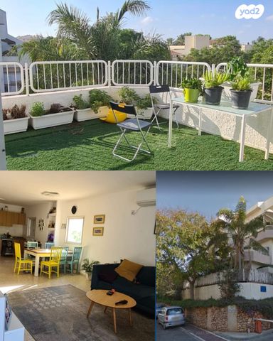 פרופ' דינור 