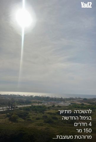 אליהו ברלין 11