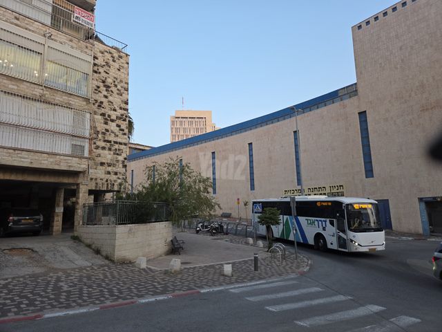 הצבי 
