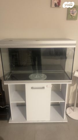 תמונת מודעה - חיות מחמד