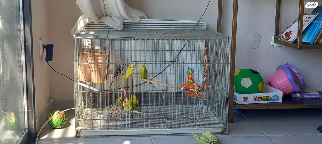 תמונת מודעה - חיות מחמד