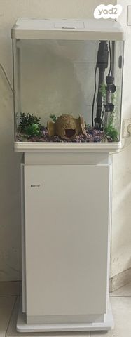 תמונת מודעה - חיות מחמד