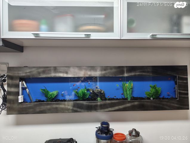 תמונת מודעה - חיות מחמד