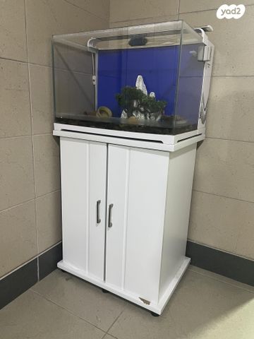 תמונת מודעה - חיות מחמד