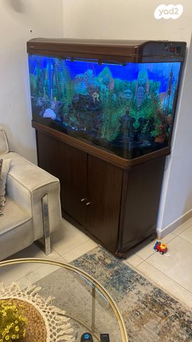 תמונת מודעה - חיות מחמד