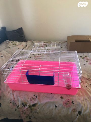 תמונת מודעה - חיות מחמד