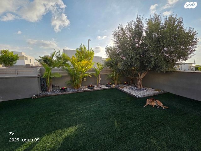 פאני מוגרבי 54