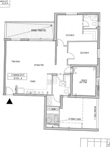 שבטי ישראל 11